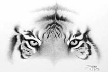 custom portraits from your photographs