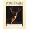 Whitetails-behavior-ecology-conservation