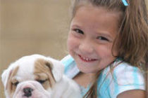 Pets /dogs and puppies