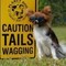 Private Dog Training Class