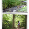 North Carolina Mountain Property 1.4 acres
