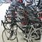 Bicycle Tuning Services