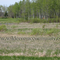 Golf Course lots ready for developer
