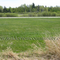 Golf Course lot in northern Minnesot