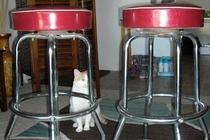 Cool Barstools