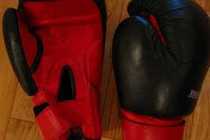Boes boxing 14-oz gloves