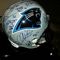 Panthers Superbowl Team Signed Helmet