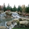 Landscape Architect Consultant