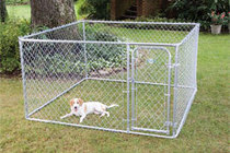 Dog Kennel (7' x 7' x 7' x 7') with gate