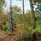 Guests love our blue bottle tree!