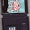Nintendo DS game
