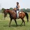 Horseback Riding Lessons