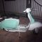 1961 Lambretta L150 in great condition