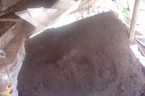 Worm Castings