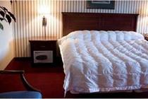 HACIENDA RESORT - Accommodation
