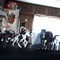 Horse figurines . paris frame pictures