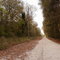 County Road