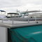 Party Hut II, Pontoon Boat