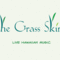 logo design, graphic design