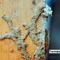 Get Your Professional TERMITE TREATMENT in 765 / 812 INDIANA