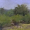 fine art commissions and landscapes