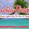 Full Service Florist on Beautiful SouthWest Florida Island