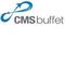 SEO (Search Engine Optimization) + CMS + Web Development