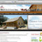 Web and Print Design
