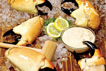 Florida Stone Crab Claws