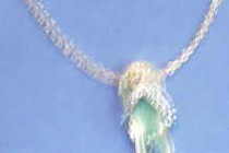 Flip Flop Rhinestone Necklace
