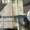 Epiphone Banjo