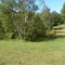 8 acres value 49 000 points