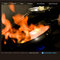 Website Development