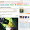 Web Design, Web Marketing, Managed Hosting