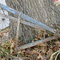 Walk Behind Push Cultivator