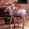 Early 1800s life size carousel deer