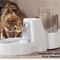 Pet product