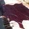 leather cow hide rug