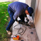 INFEST TERMITE CONTROL