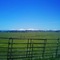 Very good Grass Hay