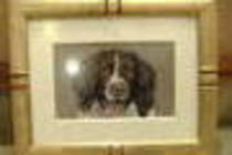 Painting fine art