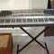 Musical Instrument