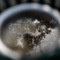 Fine Art Photos (Thousands) (digital delivery)